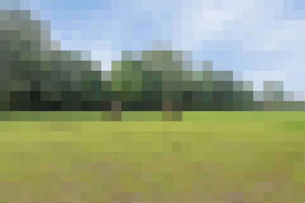 Dieckertsweg 4 Ambt Delden thumbnail 6