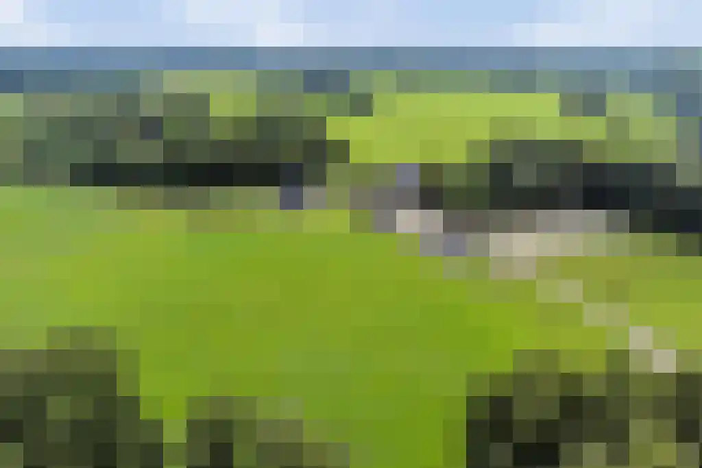 Dieckertsweg 4 Ambt Delden thumbnail 62