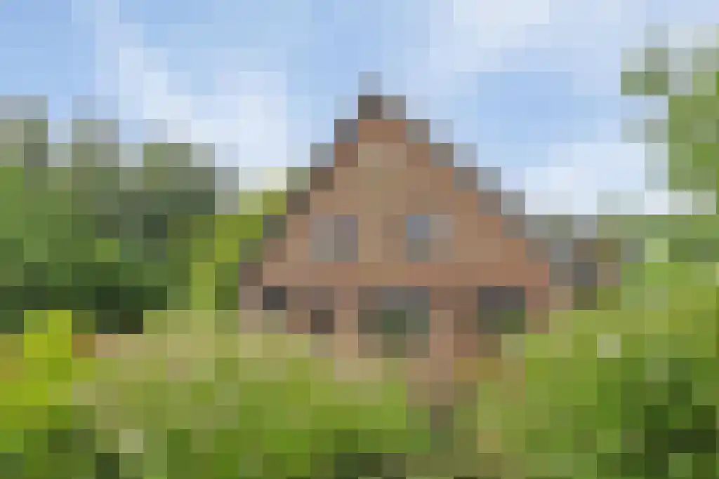 Dieckertsweg 4 Ambt Delden thumbnail 7