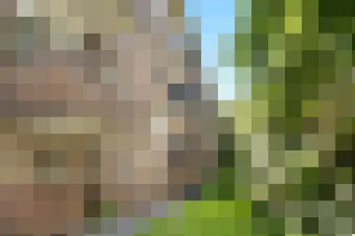 Diedenweg 103 II Wageningen thumbnail 11