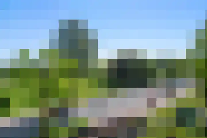 Diedenweg 103 II Wageningen thumbnail 32