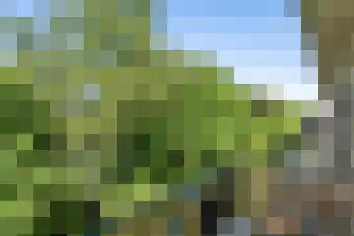 Diedenweg 103 II Wageningen thumbnail 34