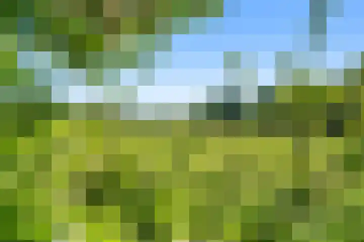 Diedenweg 103 II Wageningen thumbnail 4