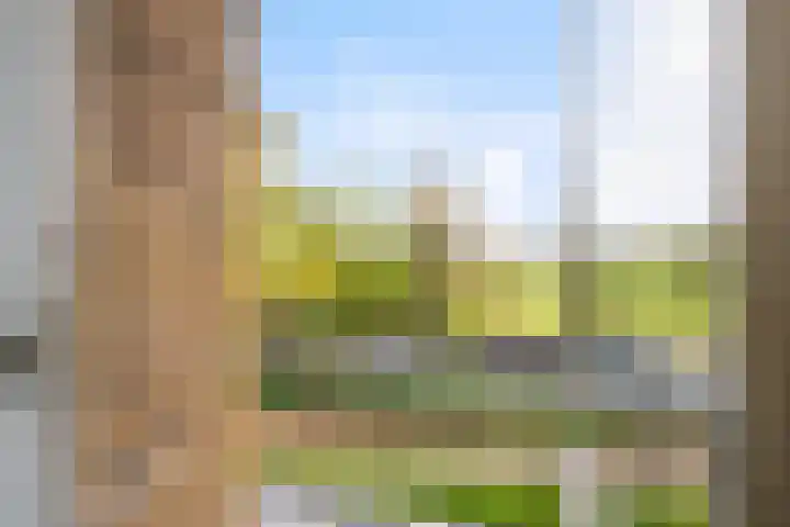 Diedenweg 107 I Wageningen thumbnail 11