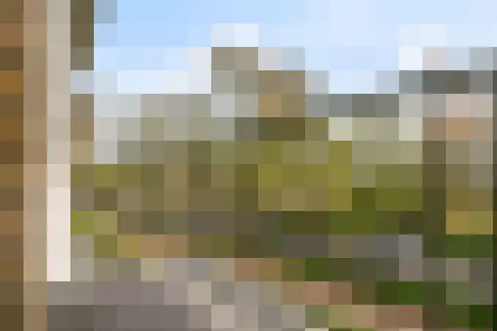 Diedenweg 107 I Wageningen thumbnail 12