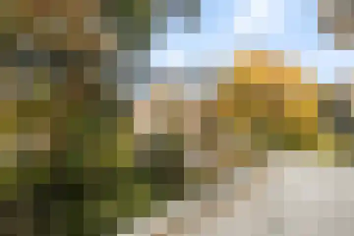 Diedenweg 107 I Wageningen thumbnail 17