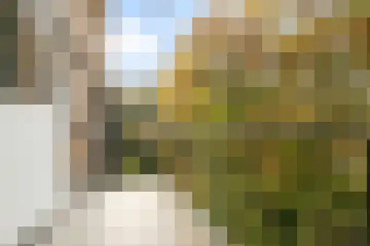 Diedenweg 107 I Wageningen thumbnail 18