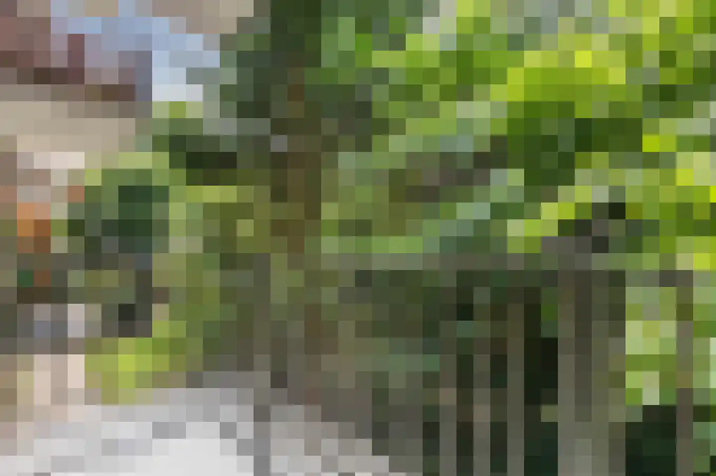Diedenweg 121 Wageningen thumbnail 21