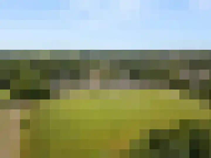 Diedenweg 46 Bennekom thumbnail 13