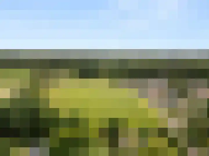 Diedenweg 46 Bennekom thumbnail 14