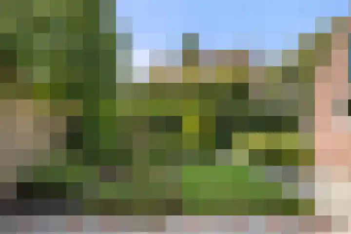 Diedenweg 46 Bennekom thumbnail 17