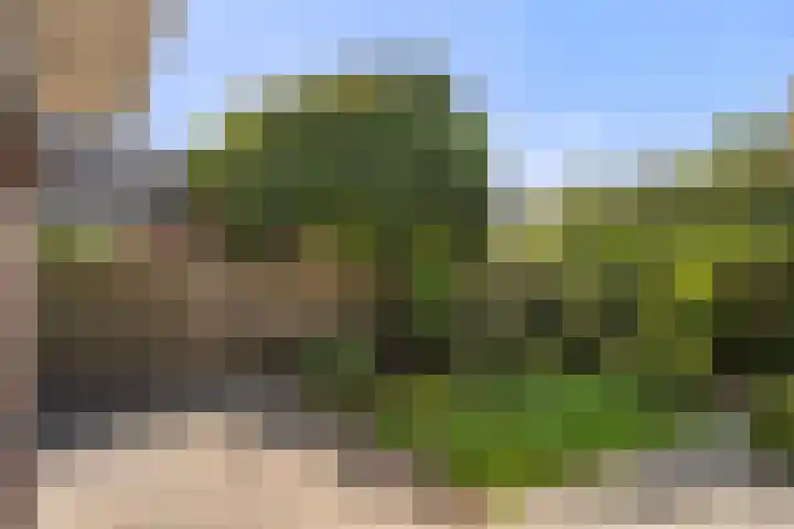 Diedenweg 46 Bennekom thumbnail 18