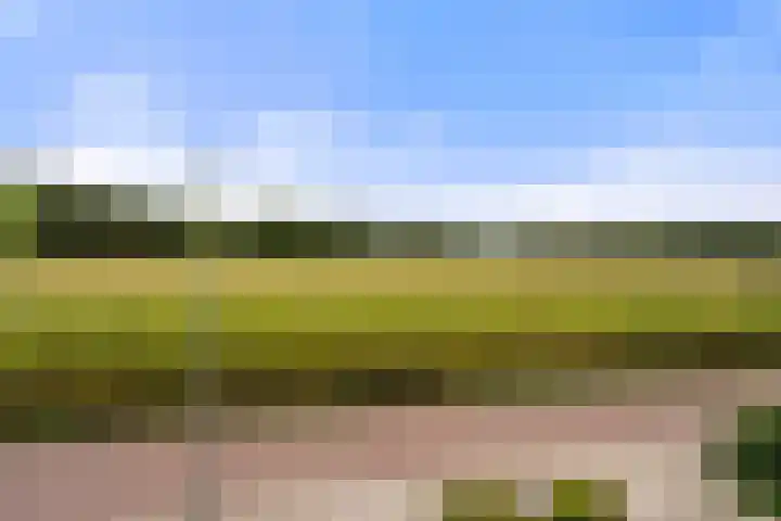 Diedenweg 46 Bennekom thumbnail 45