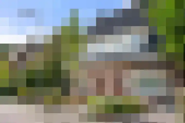 Diedenweg 46 Bennekom thumbnail 7