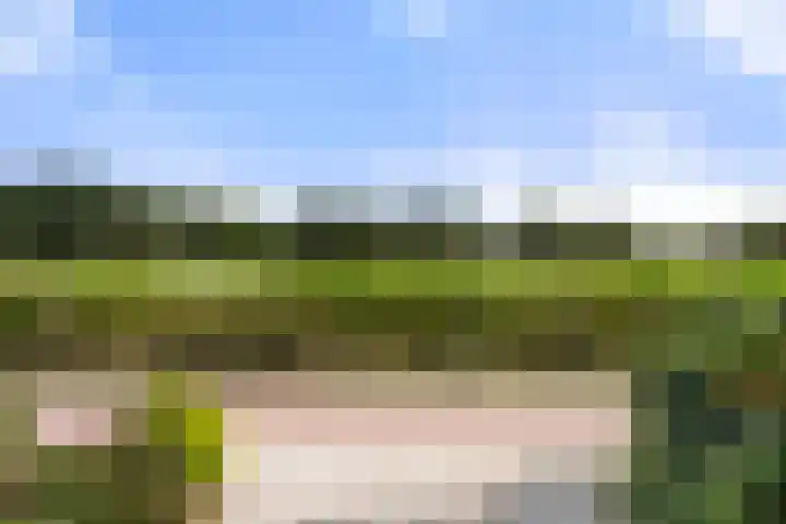 Diedenweg 46 Bennekom thumbnail 9