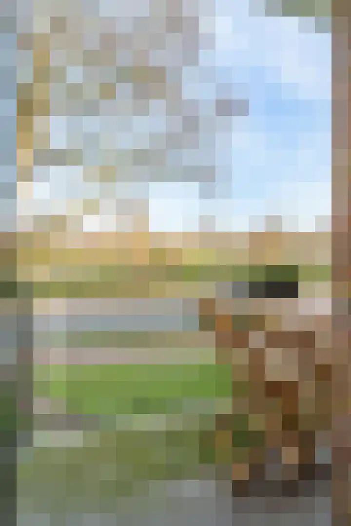 Diedenweg 61 I Wageningen thumbnail 23