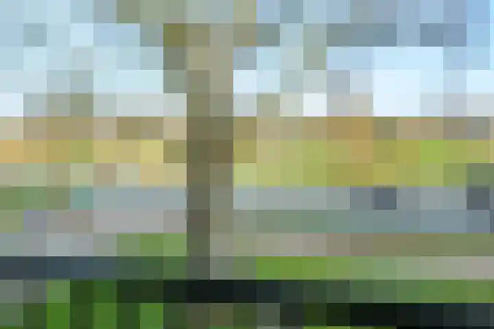 Diedenweg 61 I Wageningen thumbnail 24
