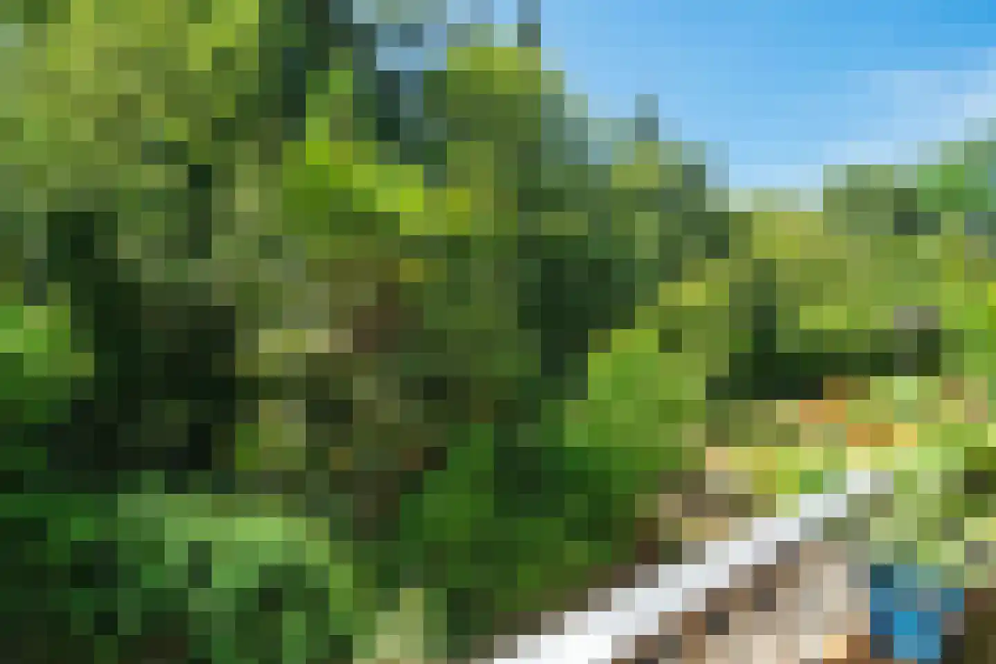 Diedenweg 63 Wageningen thumbnail 31