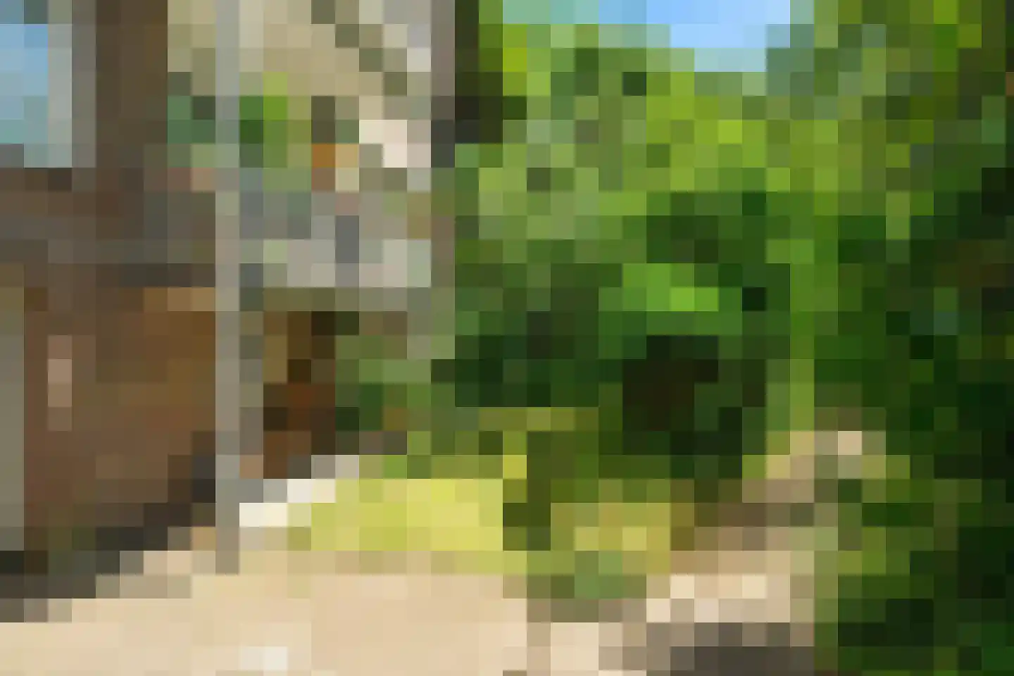 Diedenweg 63 Wageningen thumbnail 36