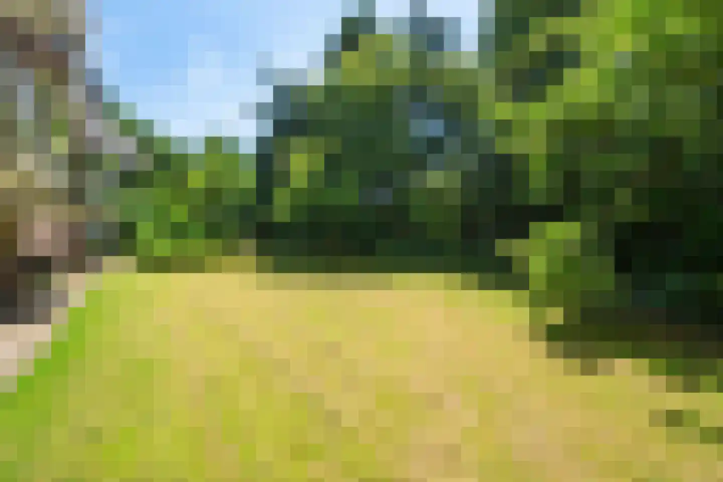 Diedenweg 63 Wageningen thumbnail 37