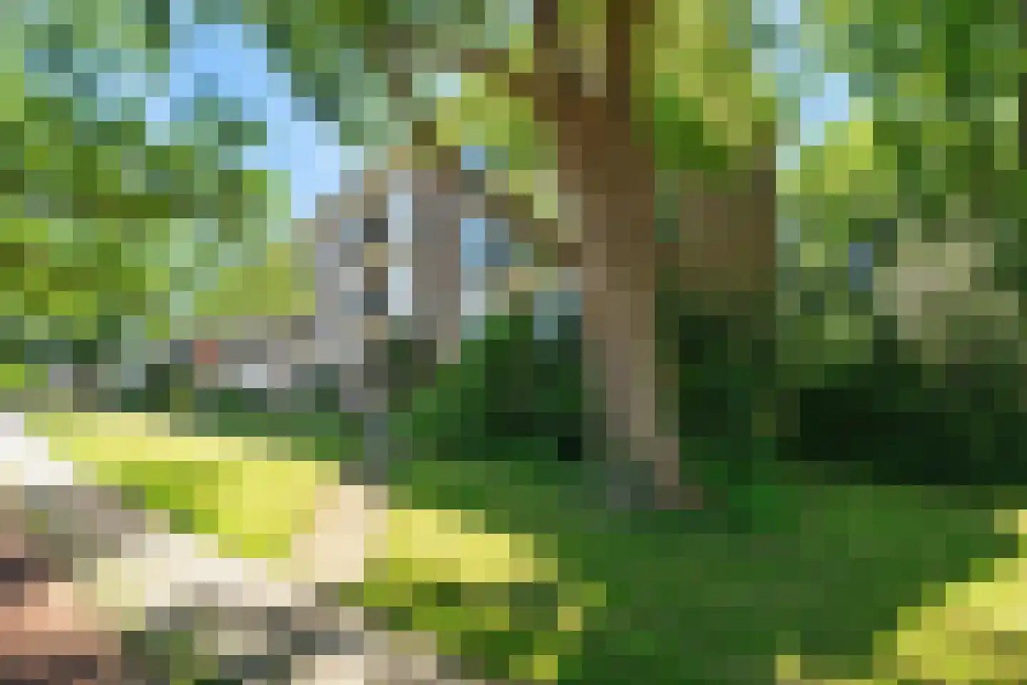 Diedenweg 63 Wageningen thumbnail 38