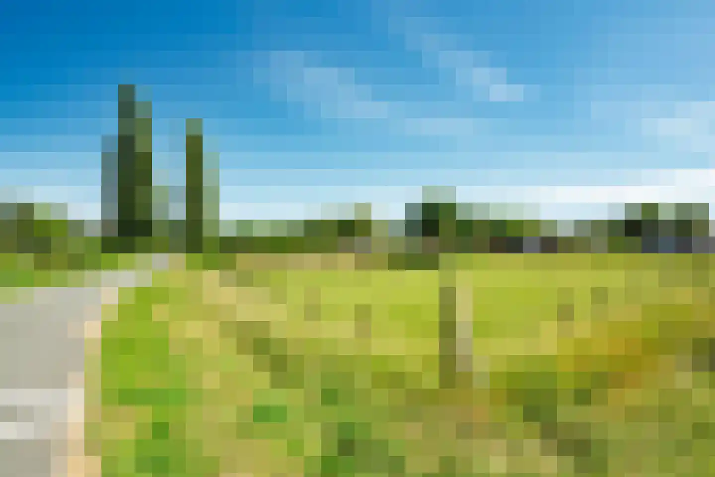 Diedenweg 63 Wageningen thumbnail 39