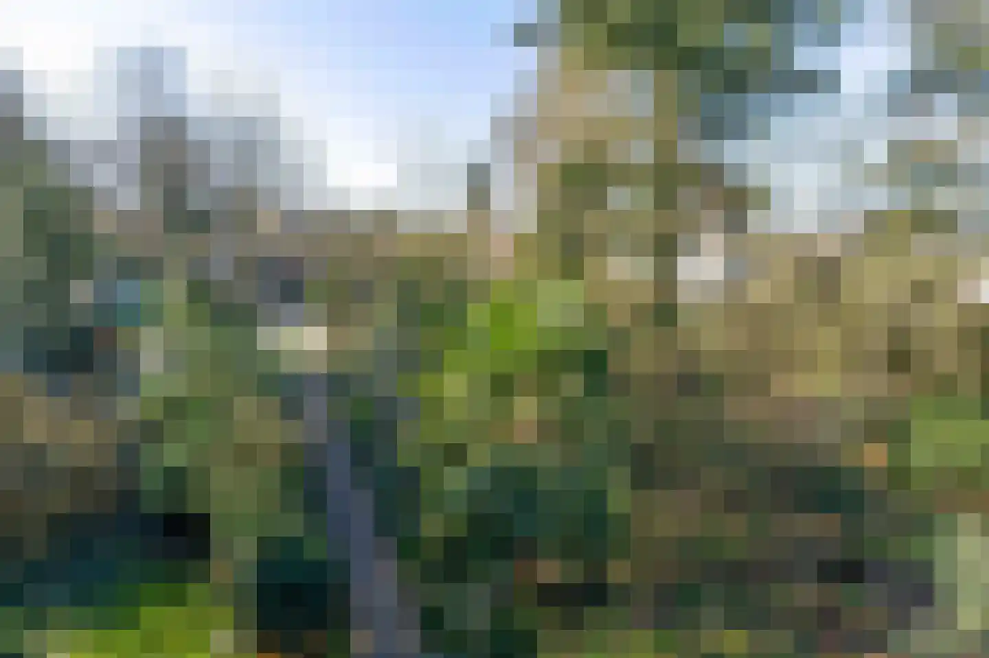 Diedenweg 65 I Wageningen thumbnail 23