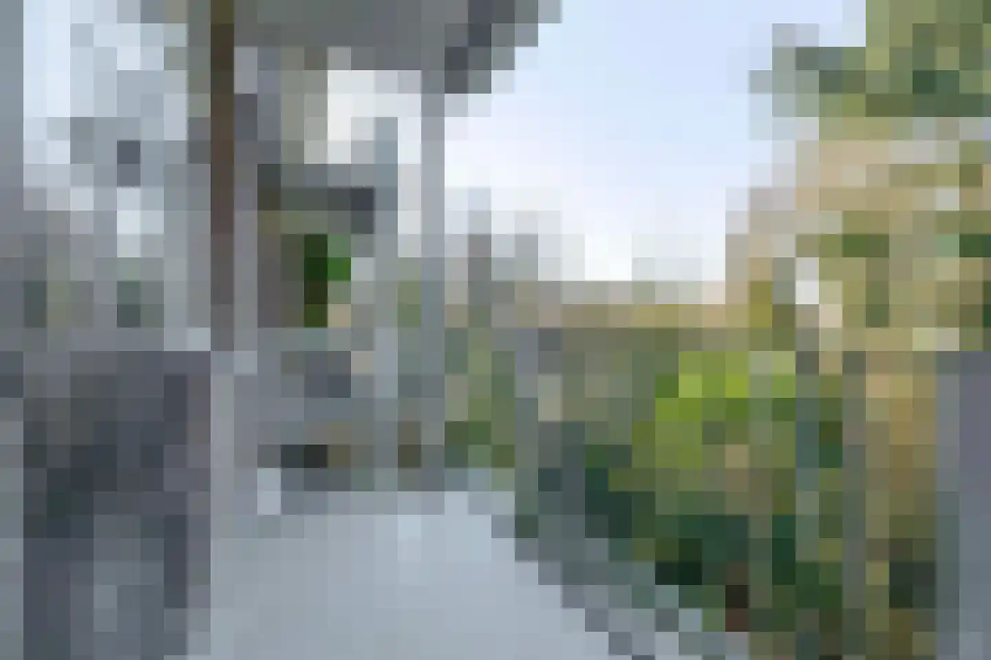 Diedenweg 65 I Wageningen thumbnail 24