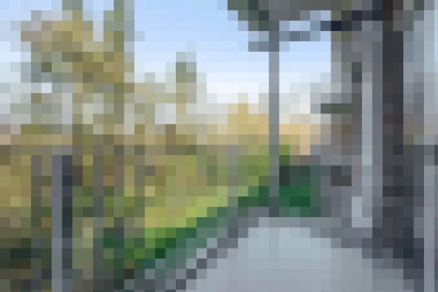 Diedenweg 65 I Wageningen thumbnail 25