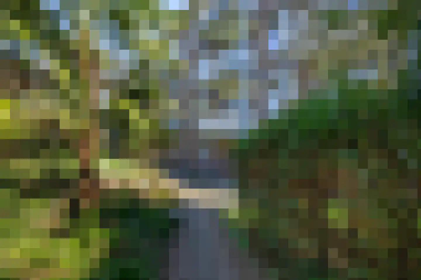 Diedenweg 65 I Wageningen thumbnail 38