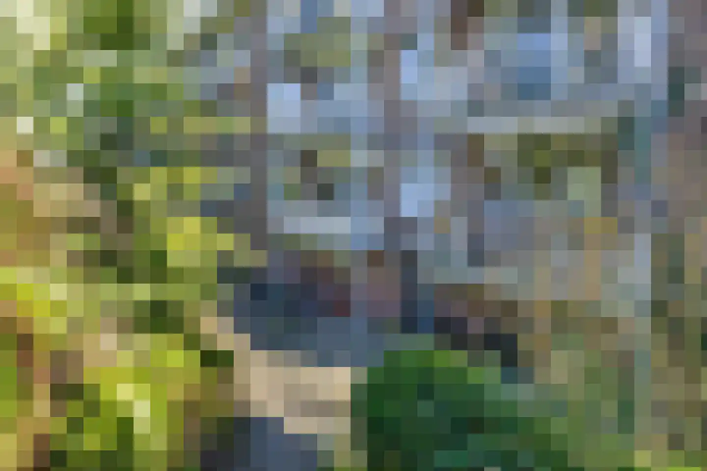 Diedenweg 65 I Wageningen thumbnail 39