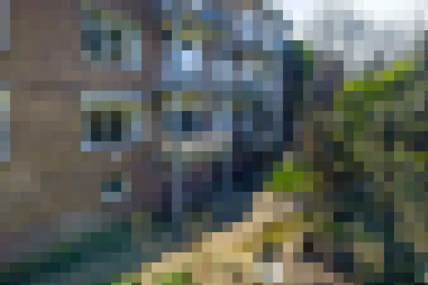 Diedenweg 65 I Wageningen thumbnail 40