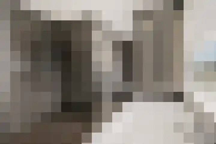 Diedenweg 67 Ede thumbnail 4