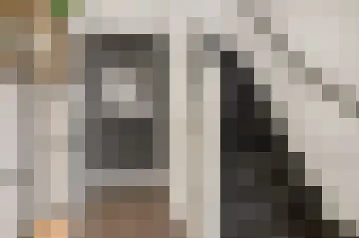 Diedenweg 67 Ede thumbnail 7