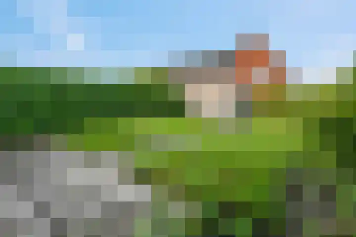Diedenweg 68 Ede thumbnail 22