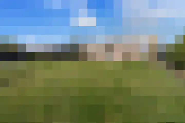 Diedenweg 68 Ede thumbnail 34