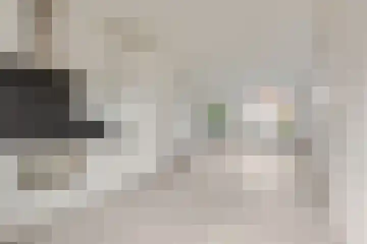 Diedenweg 68 Ede thumbnail 4