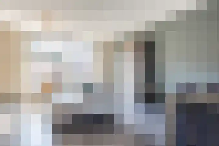 Diedenweg 68 Ede thumbnail 7