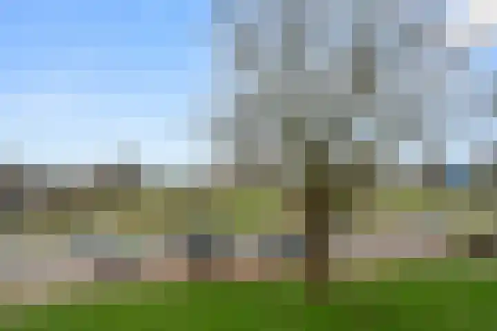 Diedenweg 77 I Wageningen thumbnail 17