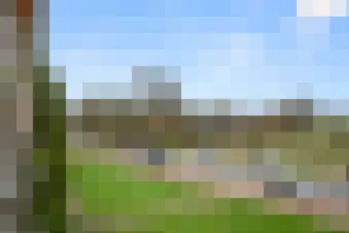 Diedenweg 77 I Wageningen thumbnail 18