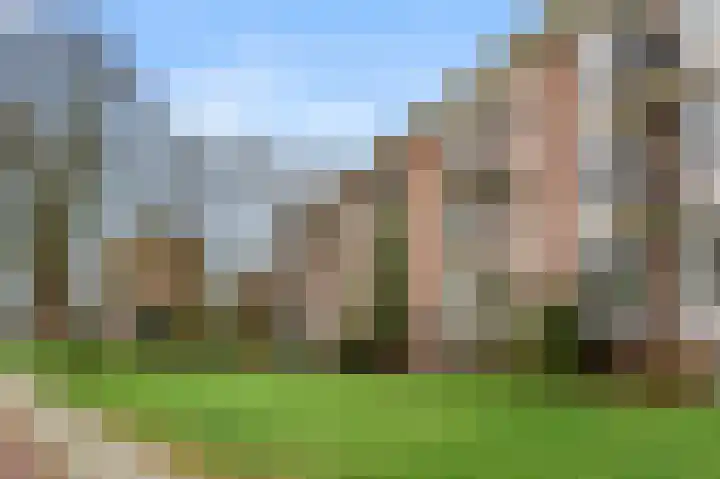 Diedenweg 77 I Wageningen thumbnail 37