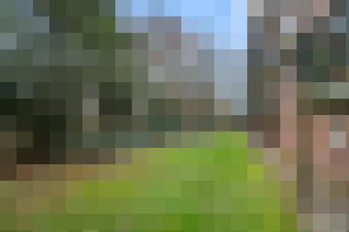 Diedenweg 77 I Wageningen thumbnail 38