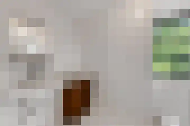 Diedenweg 8 Bennekom thumbnail 21