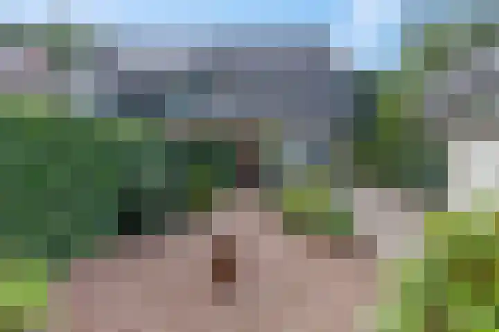 Diedenweg 8 Bennekom thumbnail 23