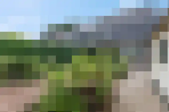 Diedenweg 8 Bennekom thumbnail 24
