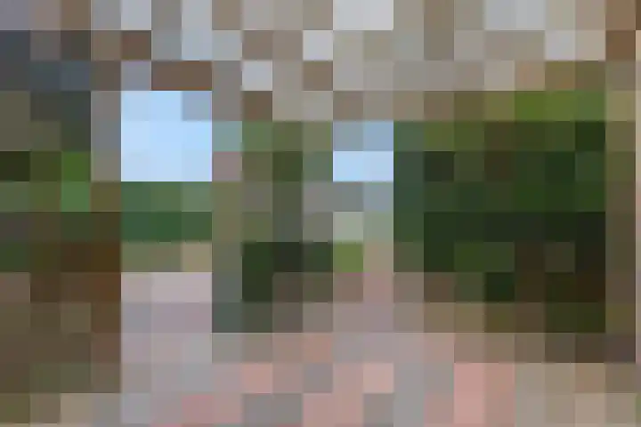 Diedenweg 8 Bennekom thumbnail 29