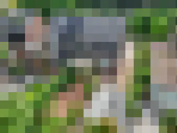 Diedenweg 8 Bennekom thumbnail 40