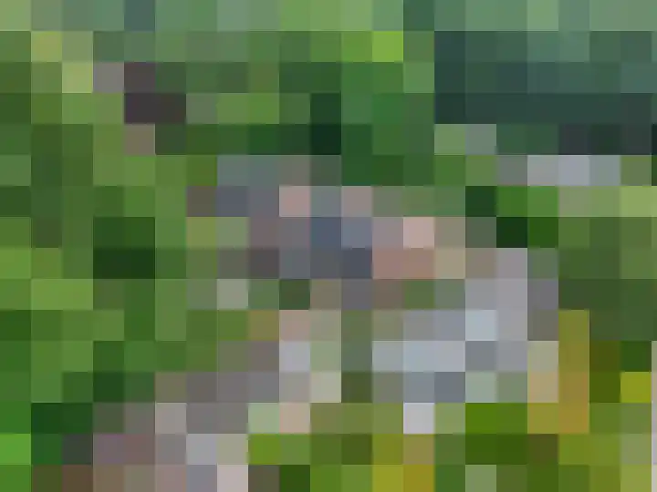 Diedenweg 8 Bennekom thumbnail 41