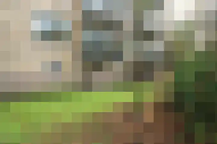 Diedenweg 87 Wageningen thumbnail 30
