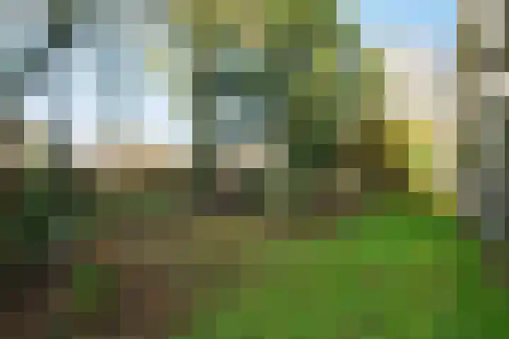 Diedenweg 87 Wageningen thumbnail 31